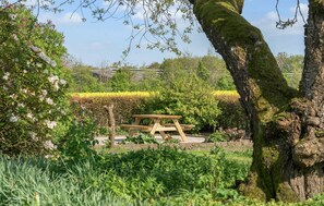 Une table de pique-nique dans un jardin où l’on trouve une grande variété de plantes et d’arbres.