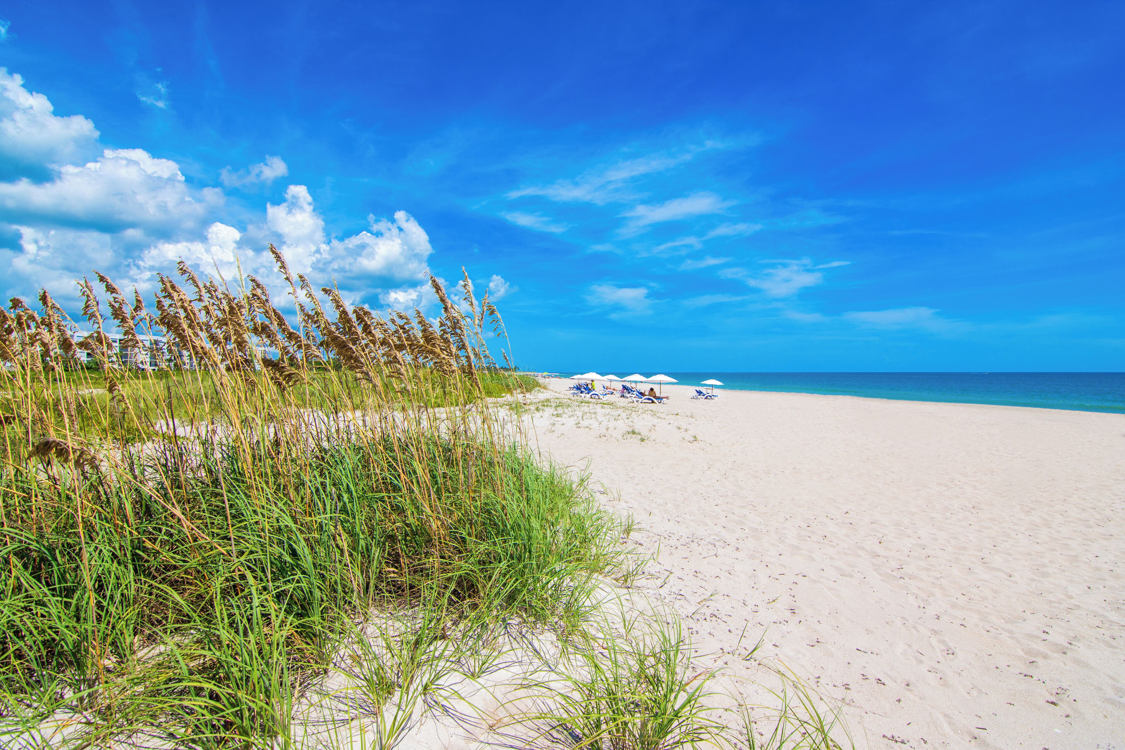 Solsenger og strandhåndklær