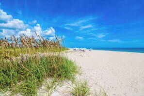 Ein Strand mit Sand, Gras und blauem Himmel.