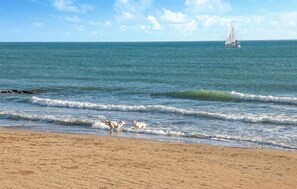 Pesca