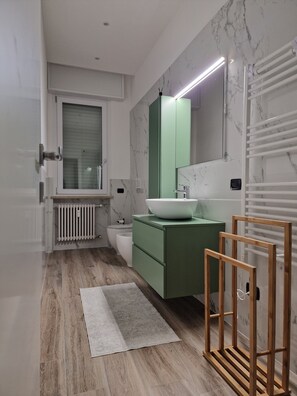 Ducha, secador de pelo, bidé y toallas