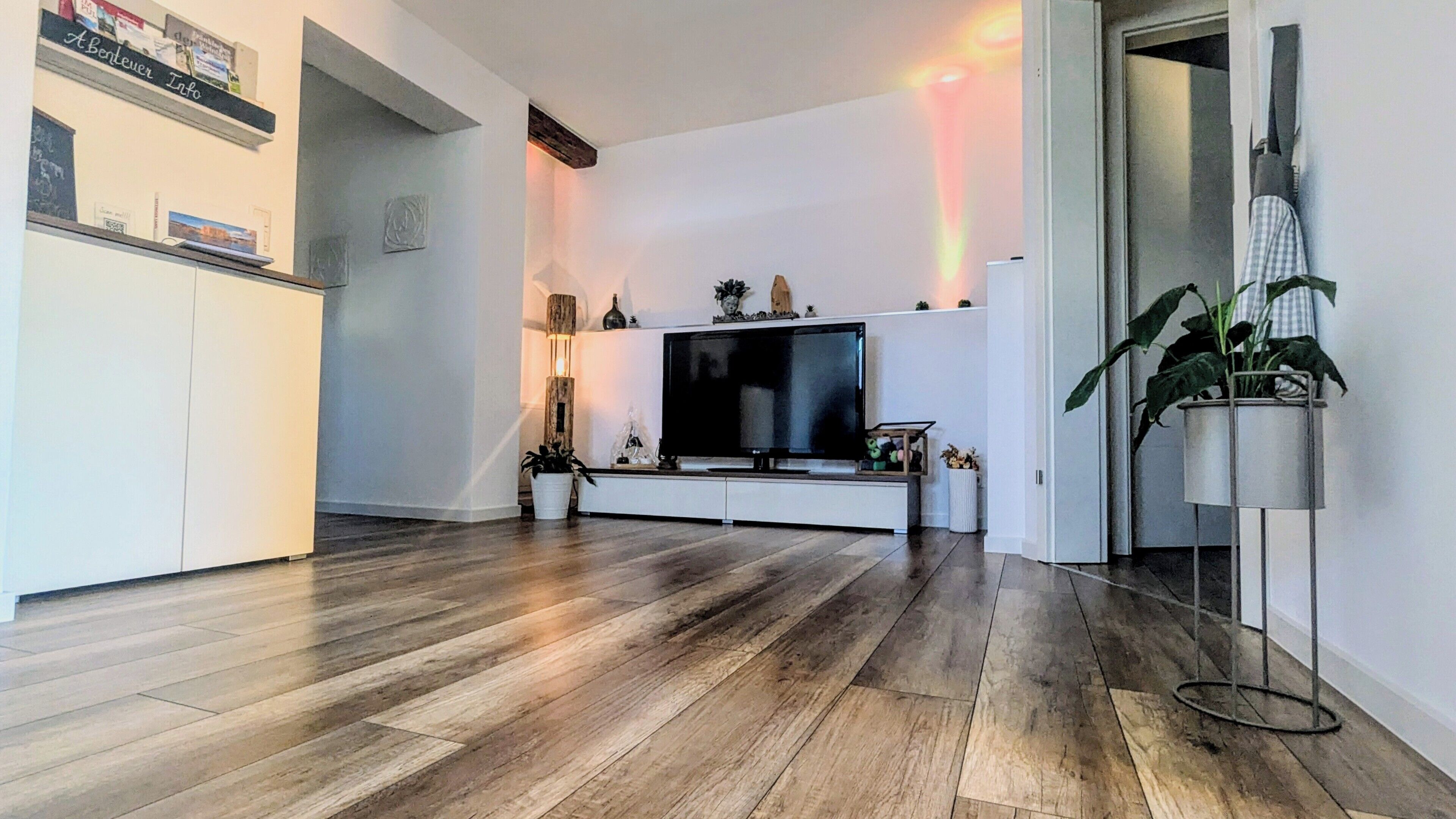 A modern living room with a flat-screen TV, wooden flooring, and a potted plant.
