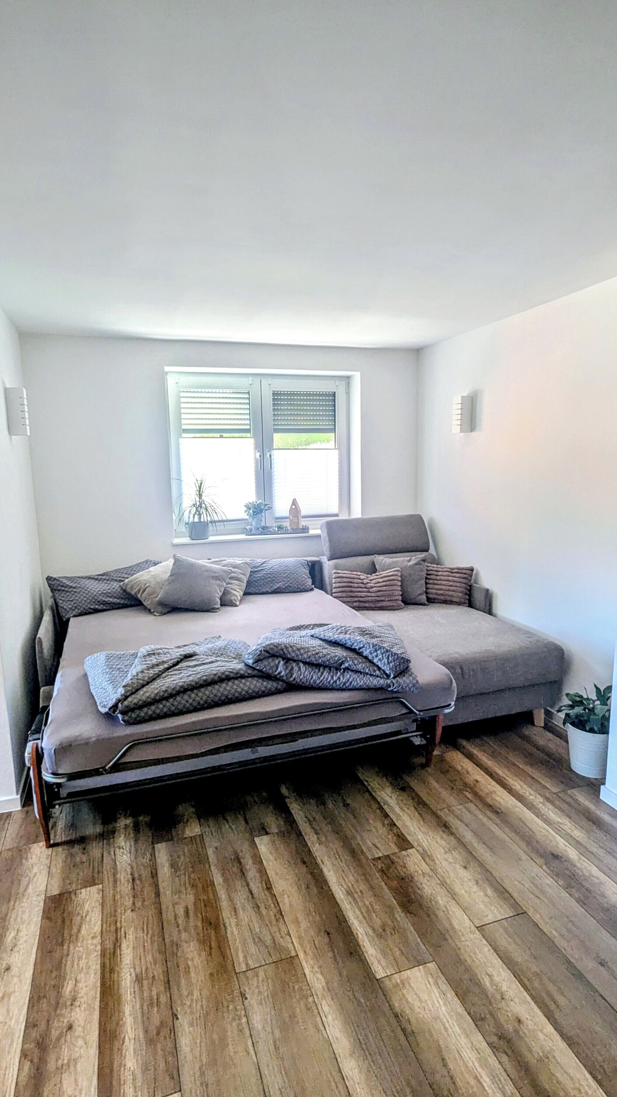A room with a bed, a sofa, a window with blinds, a potted plant, and a wooden floor.