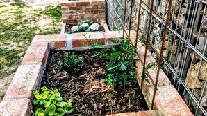 A garden with raised brick planters and a metal fence.