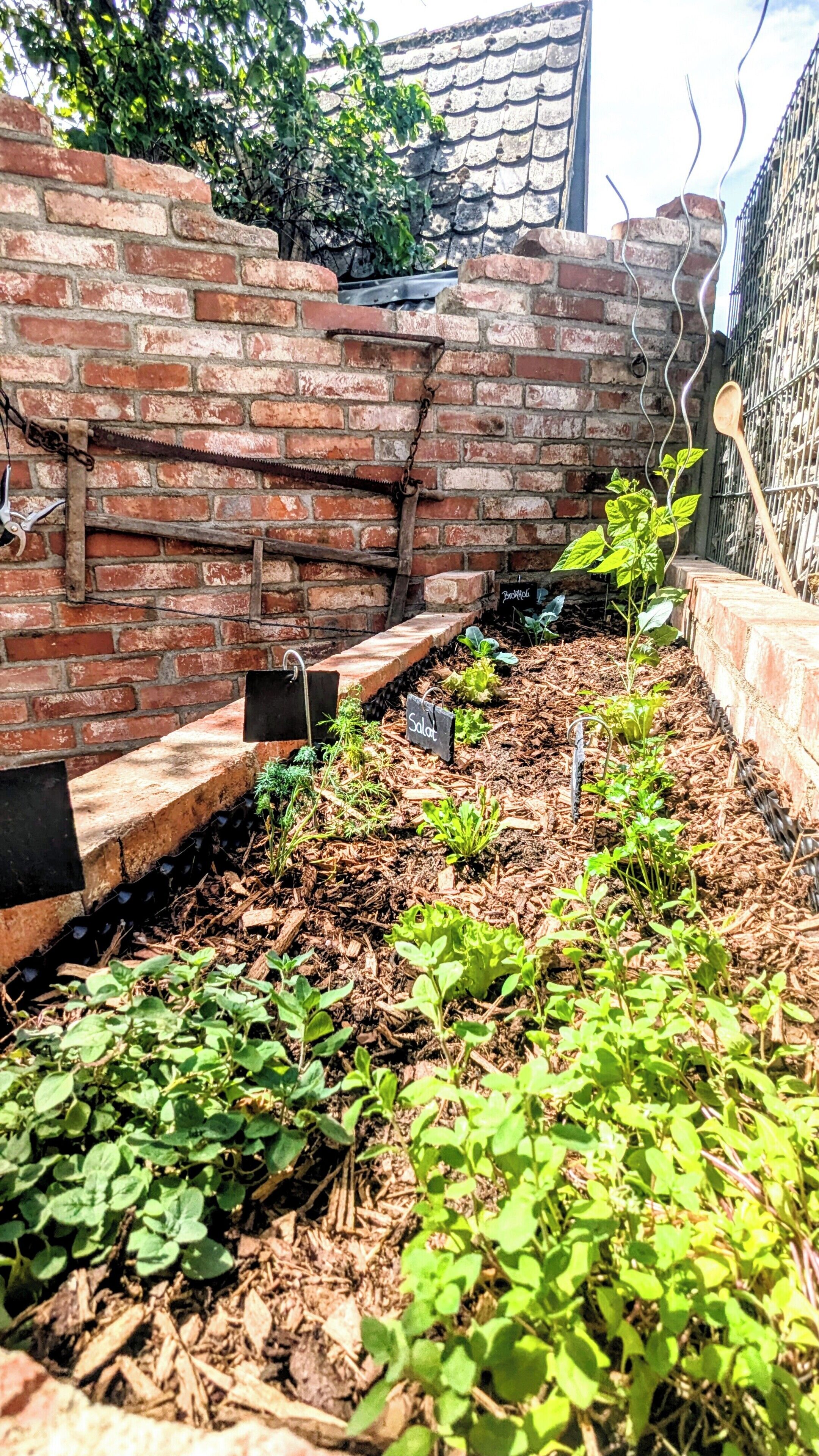 A brick wall with a metal gate, a wooden ladder, and a garden bed with various plants.