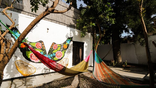 Unclassified image, 1 of 8, button - Nativo Hostel Oax (Oaxaca)