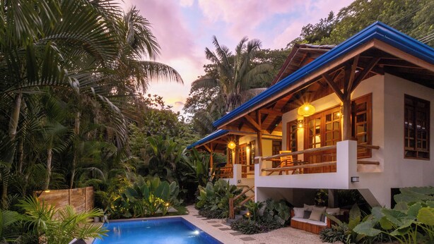 Une maison moderne avec une piscine, entourée d’une végétation tropicale luxuriante.