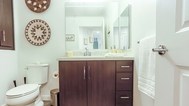 Une salle de bain avec des toilettes blanches, un meuble-lavabo en bois foncé, un miroir et un tapis à motifs.