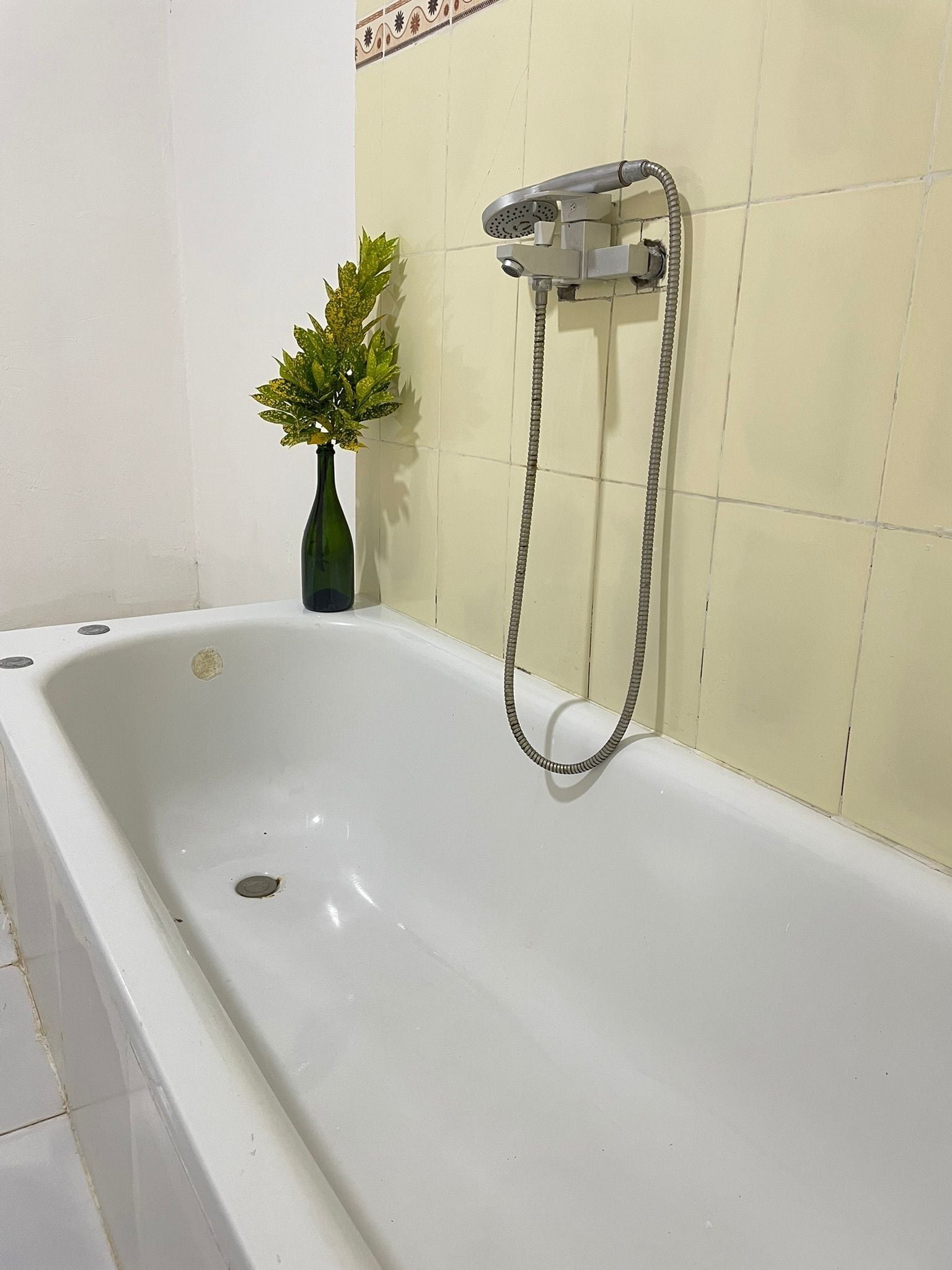 Una bañera blanca con un cabezal de ducha manual, una pequeña planta verde y un borde de azulejos decorativos en la pared.