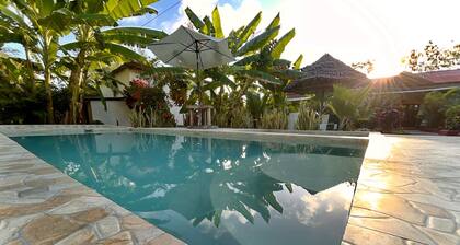 zanzllywood hotel and apartments