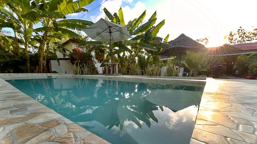 zanzllywood hotel and apartments