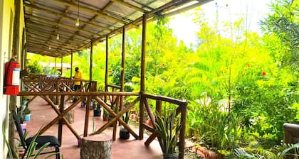 zanzllywood hotel and apartments