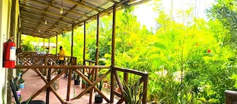 zanzllywood hotel and apartments