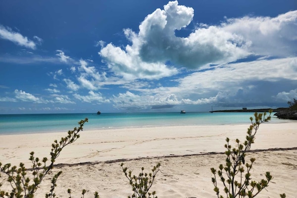 Tovalloles de platja