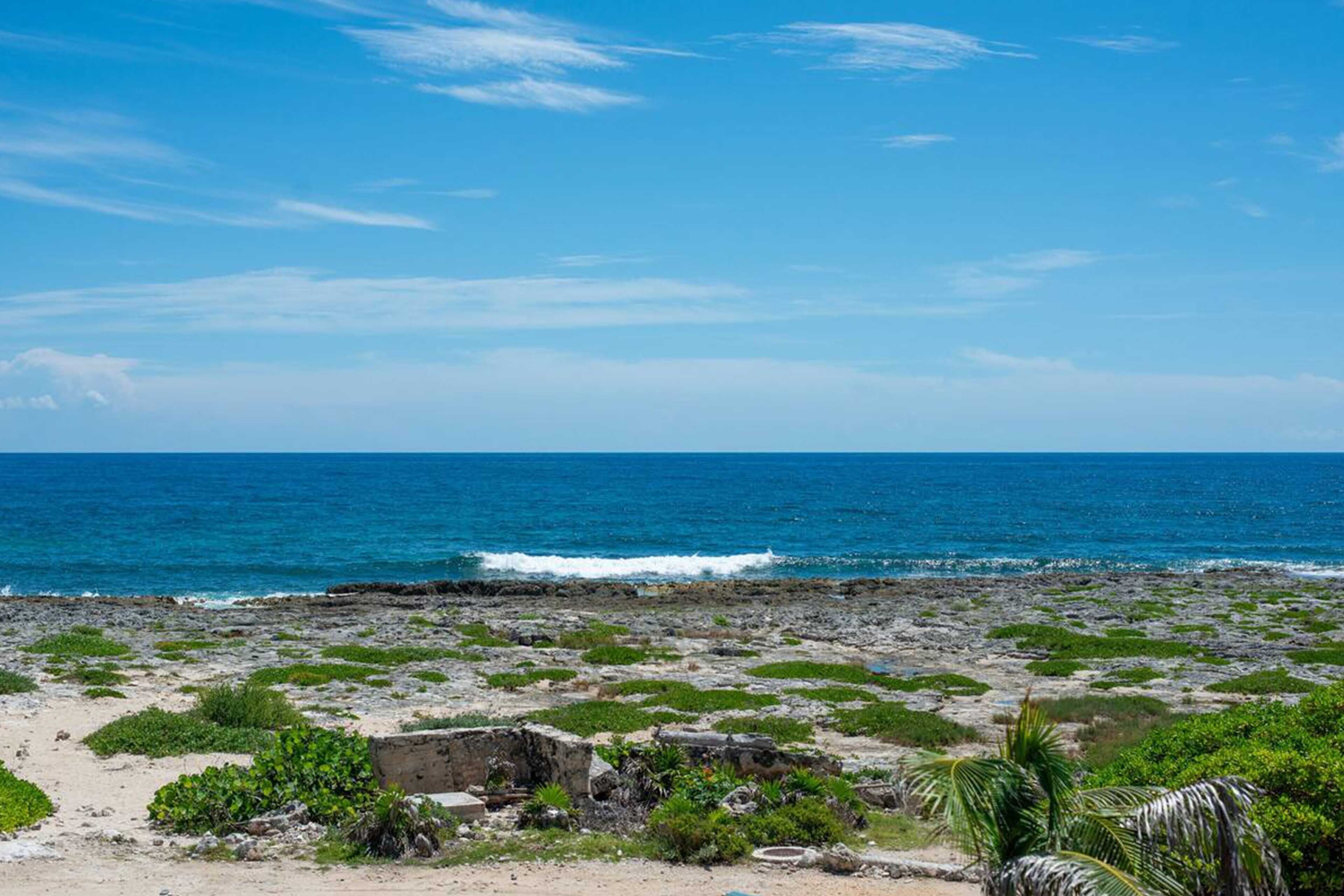 A rocky beach with sparse vegetation and a clear blue sky.