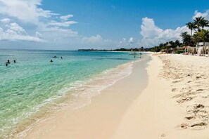 A beach with clear turquoise water, a sandy shore, and palm trees. - Akumal Amor Caribbean Sea View 2 Min Walk To Beach (Akumal)