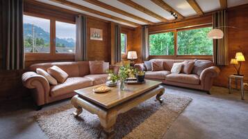 TV, fireplace, video games, DVD player