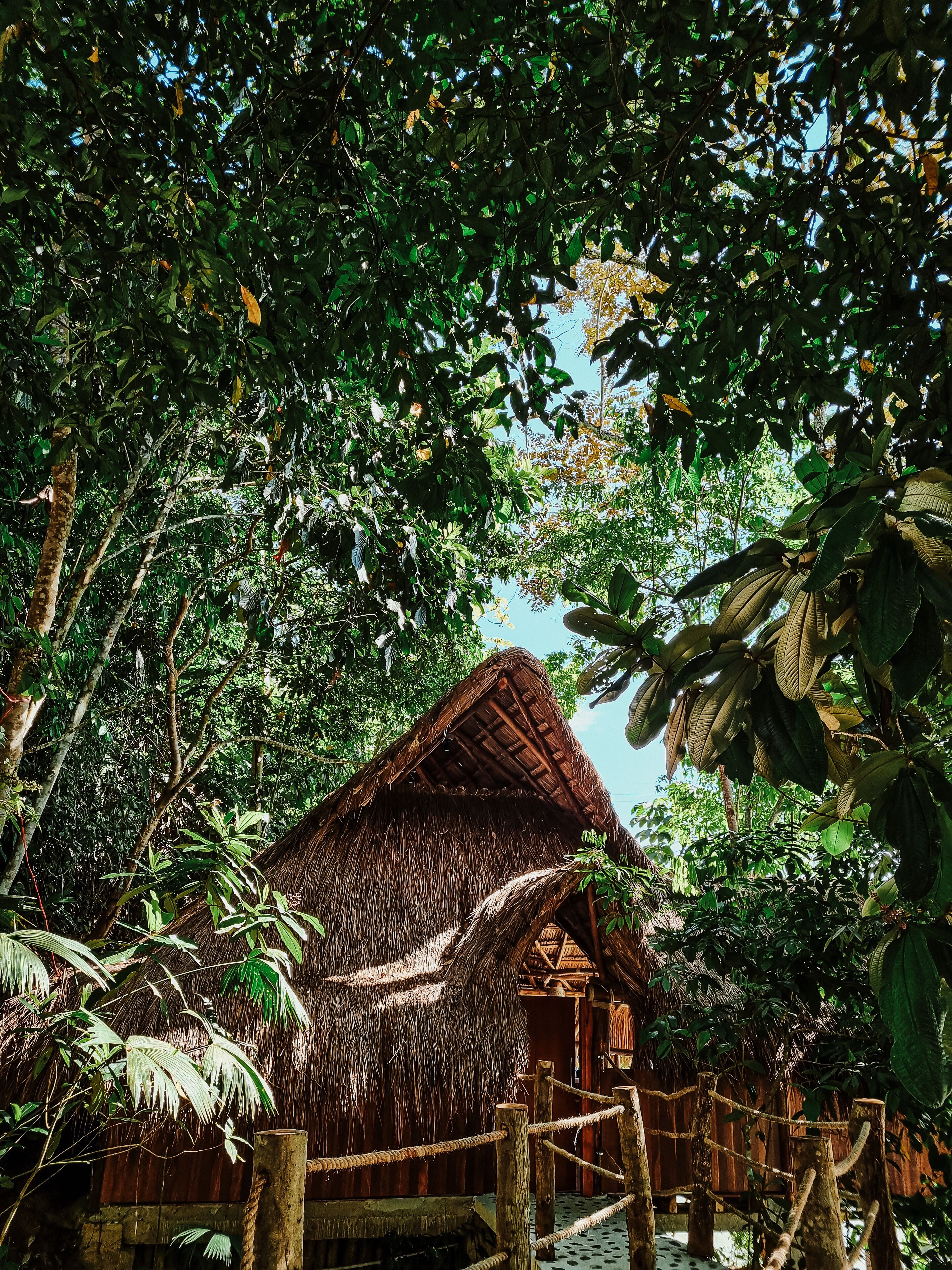 舒適小屋, 2 張標準雙人床, 私人浴室, 河景 | 1 間睡房、免費 Wi-Fi
