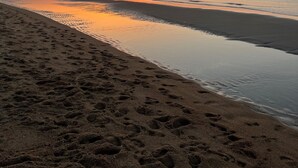 Una playa con huellas que conducen al agua, cielo despejado y la estela visible de un avión.