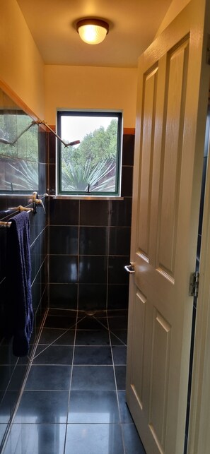 Shower, hair dryer, towels, toilet paper