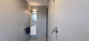 Shower, towels, toilet paper