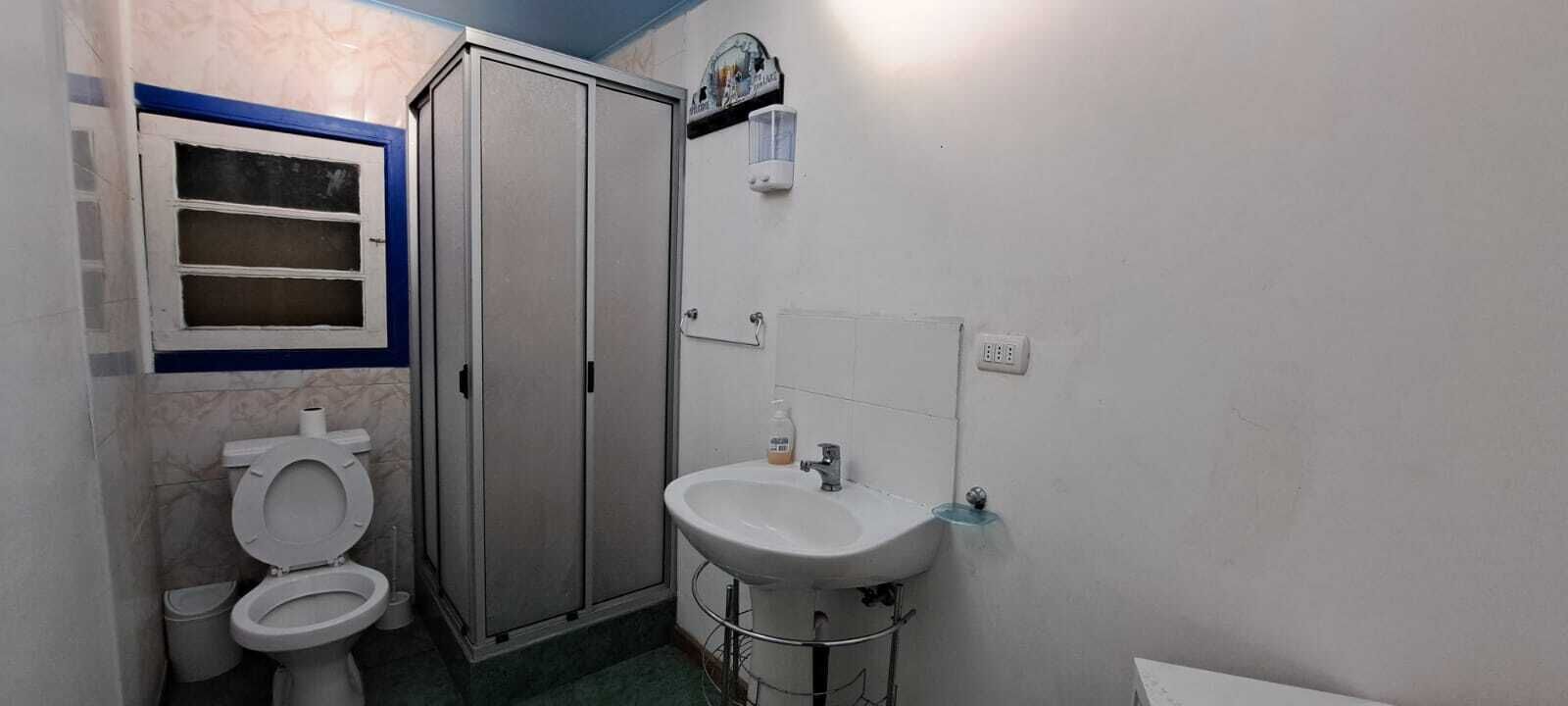 A bathroom with a toilet, a sink, and a shower enclosure.