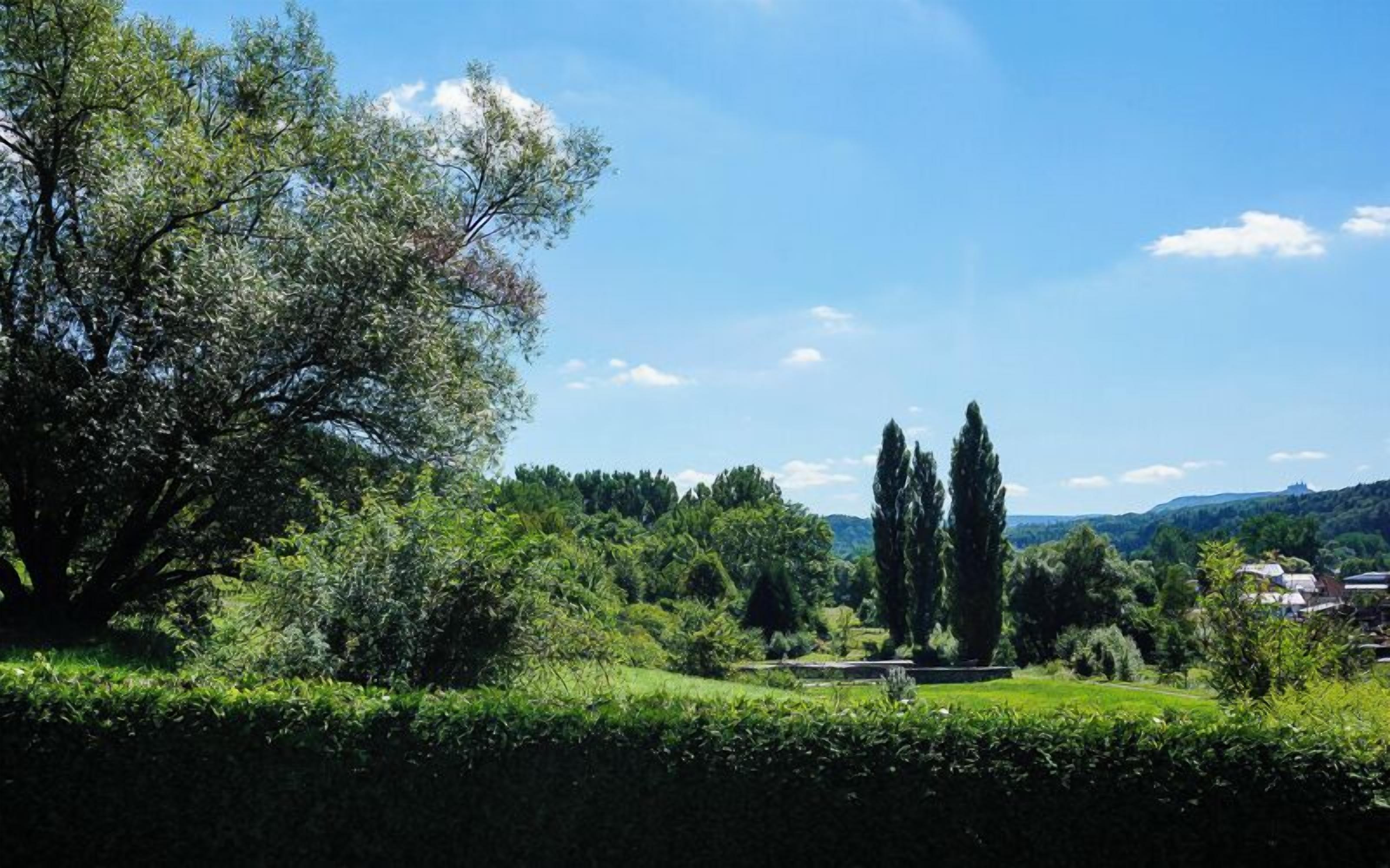 Divers