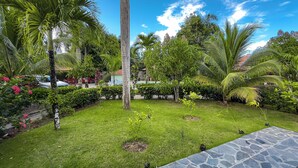 A lush garden with palm trees, a stone pathway, and a pool area. - Paradise in Las Terrenas. Exclusive villa with pool (Las Terrenas)