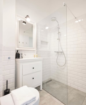 Shower, hair dryer, towels