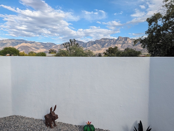 Un mur blanc orné d’une sculpture métallique représentant un lapin et un cactus, avec un paysage montagneux en arrière-plan.