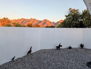 Terrain de l’hébergement 