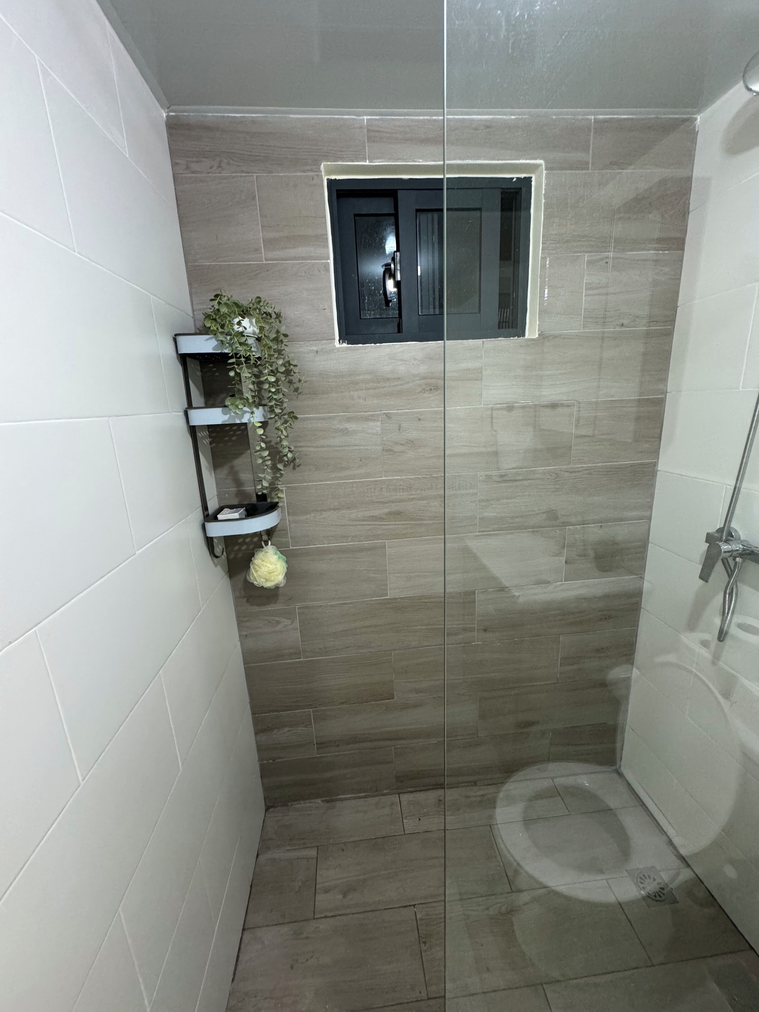 Un espacio de ducha con piso de baldosas, un pequeño estante con una planta y una puerta con ventanal.