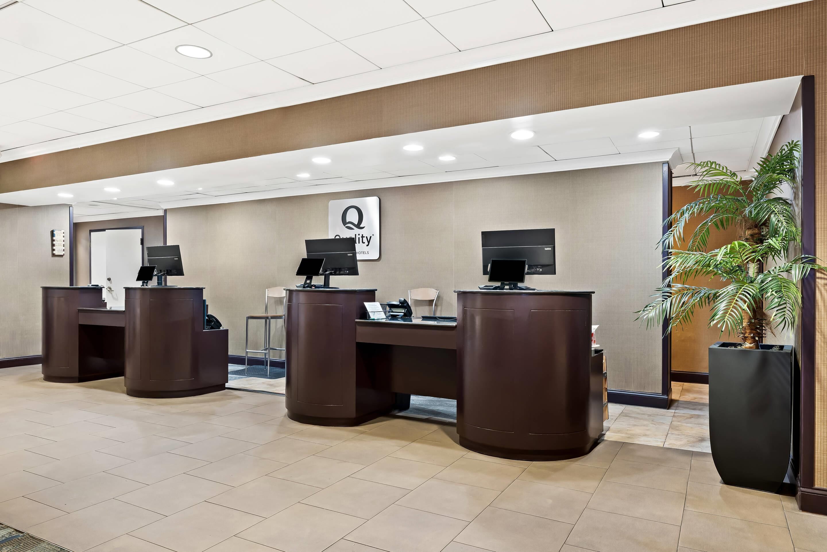 A hotel reception area with three dark brown reception desks, a sign reading "Quality", and a large potted plant.