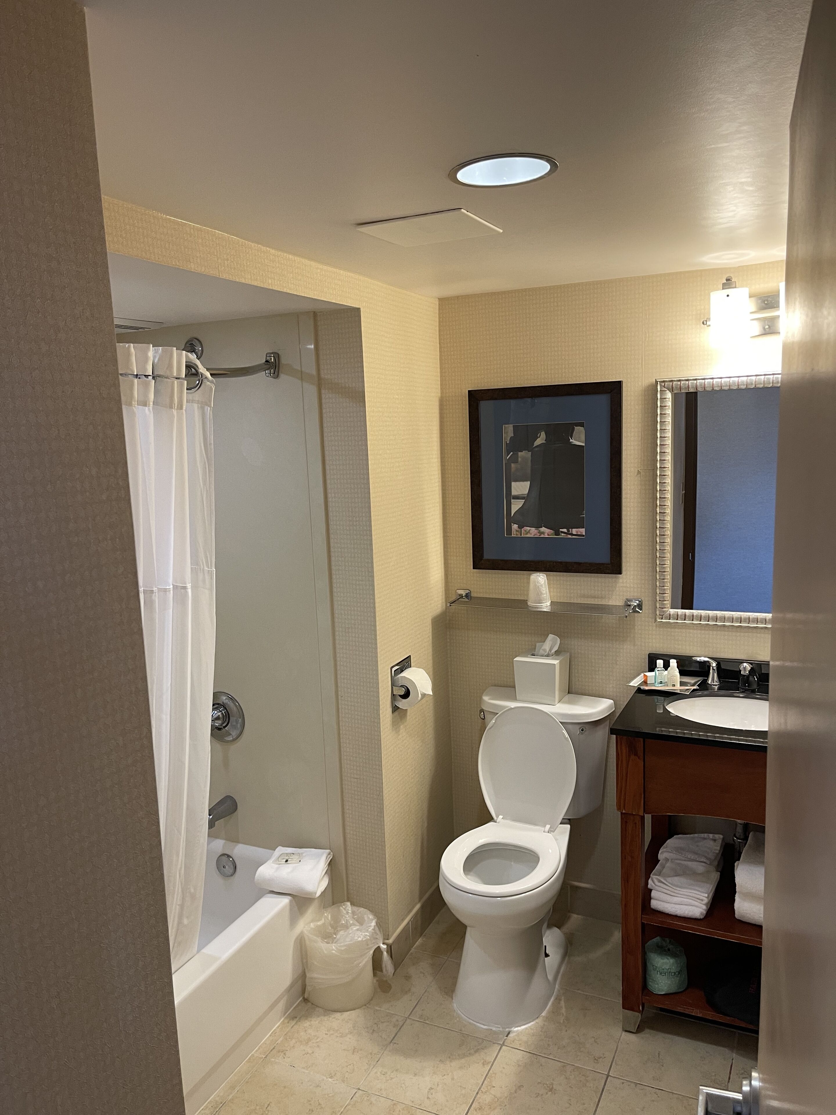 Hair dryer, towels, soap, shampoo