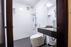 Buồng tắm vòi sen, máy sấy tóc, dép đi trong nhà, khăn tắm