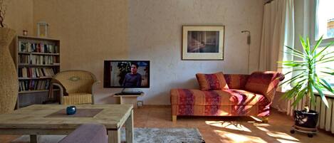 TV, fireplace, DVD player