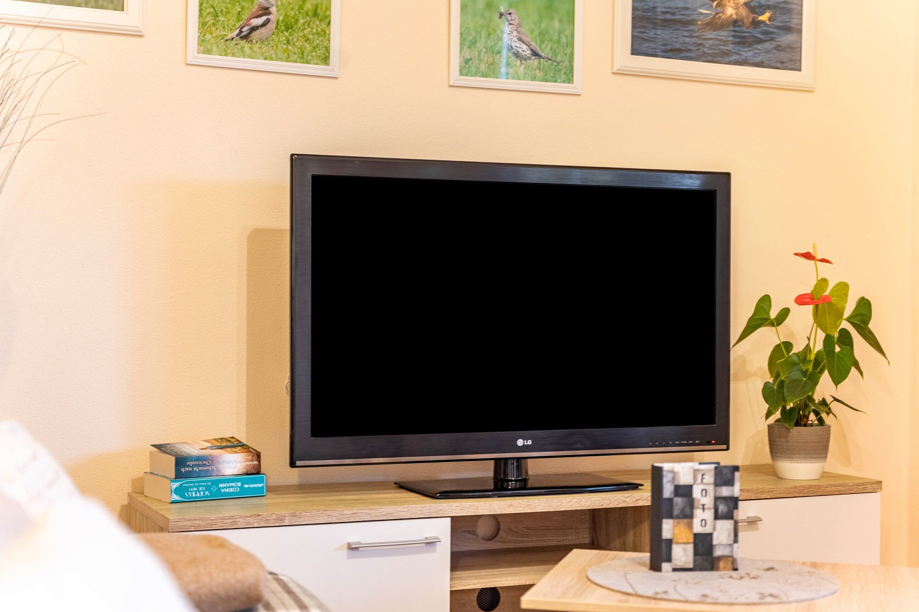A flat-screen TV on a wooden stand, a potted plant, and a small table with a decorative item.