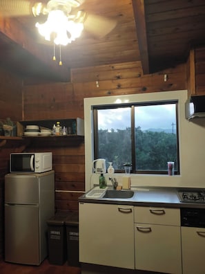 Fridge, microwave, stovetop, cookware/dishes/utensils