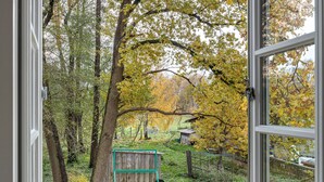 Uitzicht door een raam op een tuin met bomen, een houten constructie en een hek.