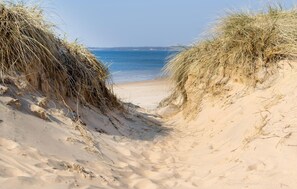 A sandy beach with dunes and a clear view of the ocean. - Stunning home in Mellbystrand with WiFi (Mellbystrand)