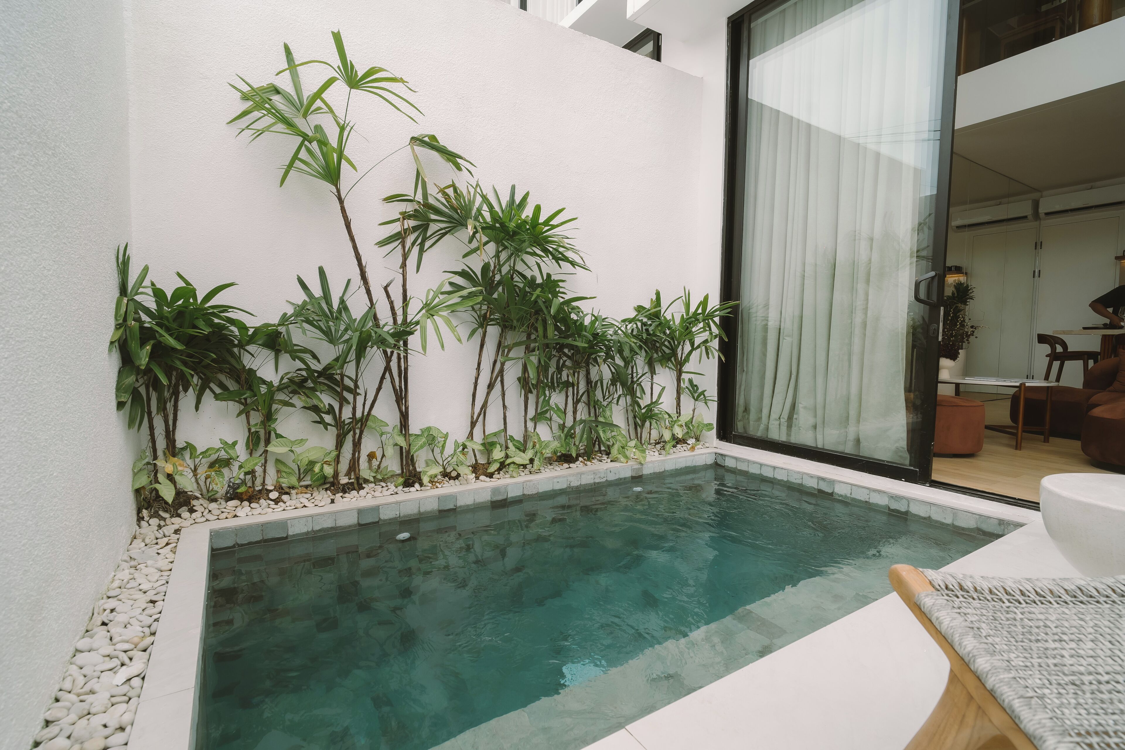Ein moderner Innenpoolbereich mit klarem Wasser, umgeben von Pflanzen und einer weißen Wand.