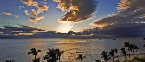 Camastros y toallas de playa