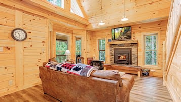 Smart TV, fireplace, books