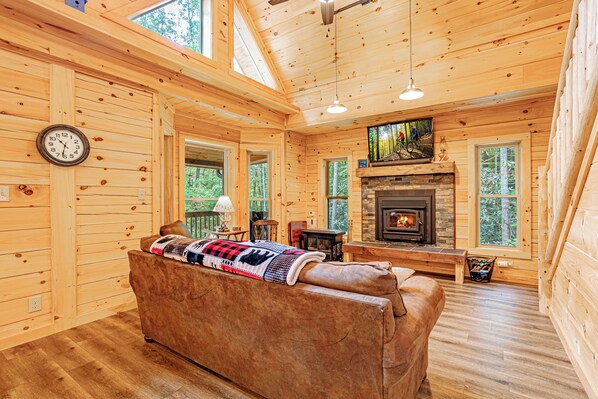 Smart TV, caminetto, libri