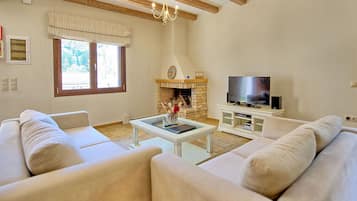 Télévision, cheminée, chaßne hi-fi