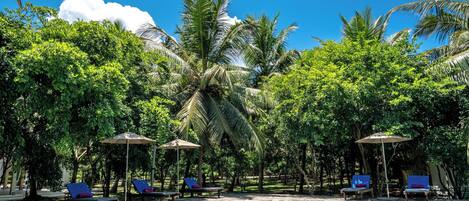 A swimming pool with lounge chairs and umbrellas, surrounded by lush greenery and palm trees.
