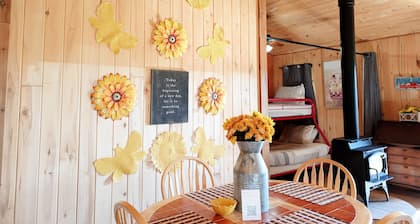 Cabin Retreat! Mesa Verde Park + WiFi + Fire Pit