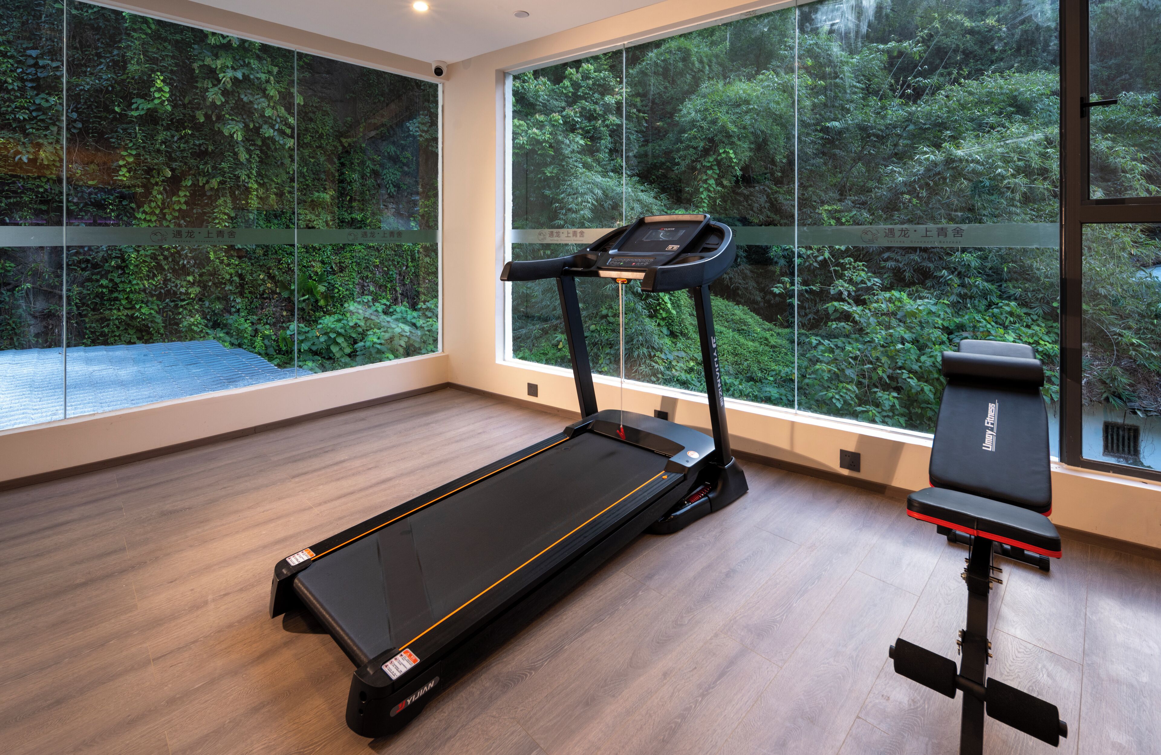 A modern gym with a treadmill, bench, and large windows offering a view of a forested area.