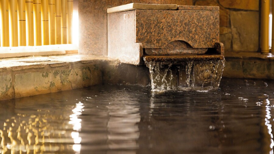 Tennen Onsen Ariston Hotel Oita