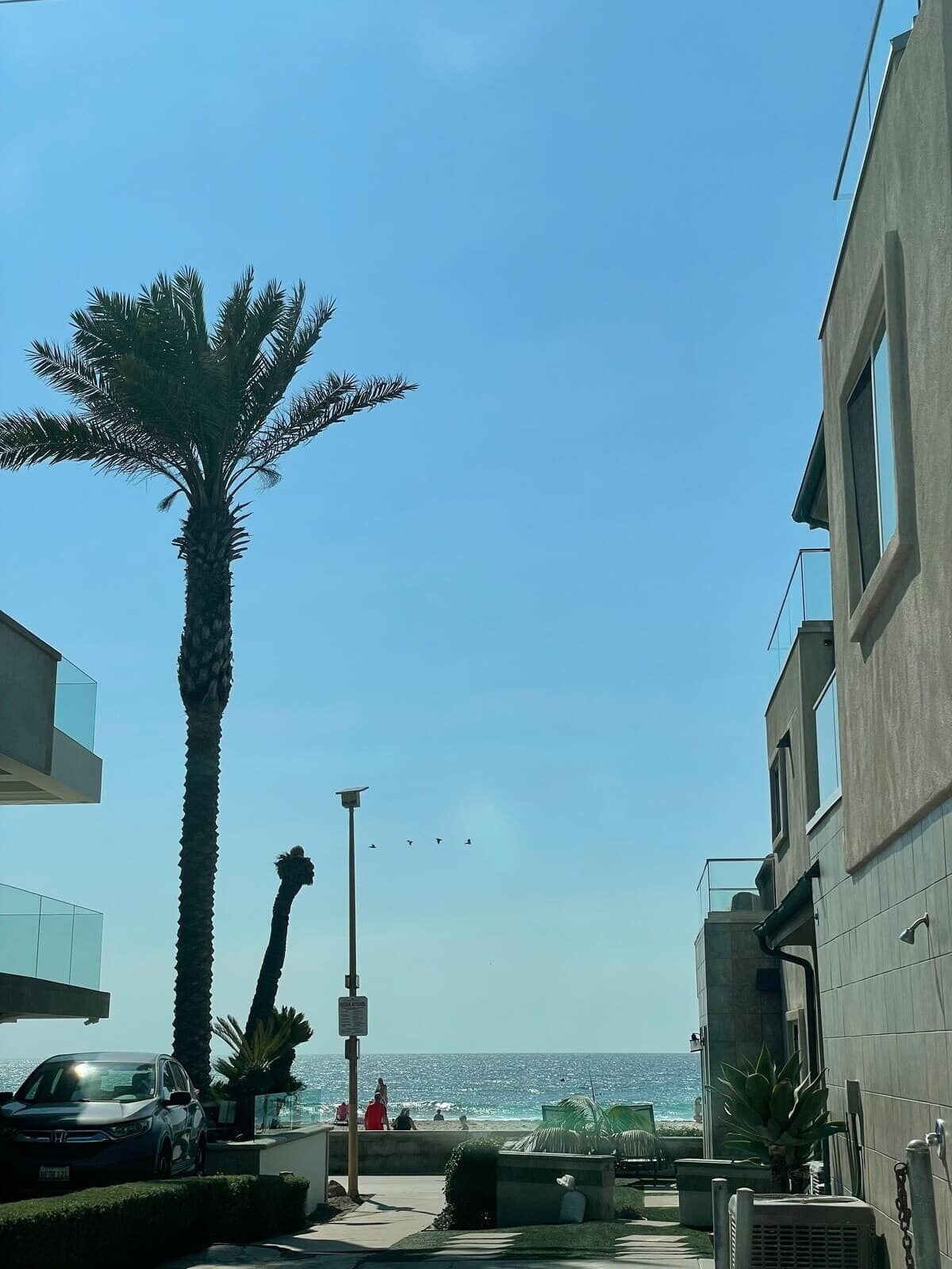 A coastal view with a tall palm tree, a street lamp, and a building with balconies overlooking the beach.